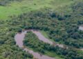 Potret kawasan Food Estate di Teluk Keluang yang direncanakan sebagai lahan pangan Ketapang. Foto: Istimewa.