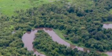 Potret kawasan Food Estate di Teluk Keluang yang direncanakan sebagai lahan pangan Ketapang. Foto: Istimewa.