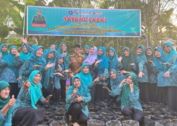 Semangat Ibu-Ibu TP PKK Kabupaten Mempawah dalam gerakan Sayang Cabai di Desa Sengkubang