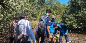 Proses penanaman magrove di pesisir pantai Desa Sungai besar yang dilakukan Karang Taruna Garda. Foto: Istimewa.