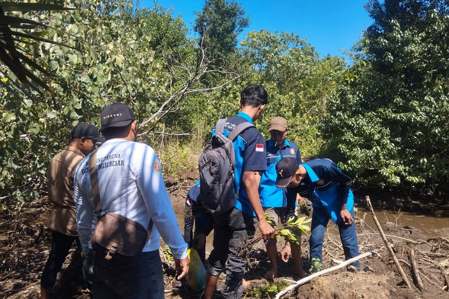 Proses penanaman magrove di pesisir pantai Desa Sungai besar yang dilakukan Karang Taruna Garda. Foto: Istimewa.