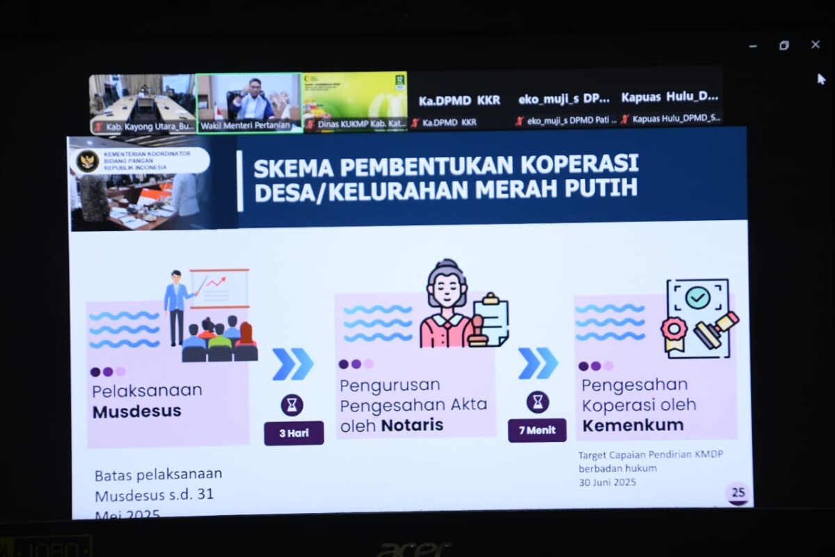 Model skema pembentukan koperasi Desa atau Kelurahan merah putih. Foto: Porkopim.