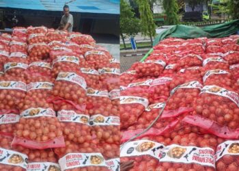 21 Ton Bawang Bombai Ilegal Asal Selandia Baru Tujuan Jawa Ditangkap di Pontianak