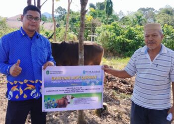 Bank Kalbar Salurkan Hewan Kurban ke Seluruh wilayah Kalimantan Barat. Jumat 6 Juni 2025.
