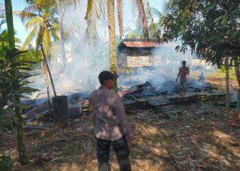 Suasana pagi di Dusun Rawa Karya, Desa Kubu, Kecamatan Kubu, Kabupaten Kubu Raya mendadak gempar ketika sebuah rumah kontrakan tanpa penghuni dilalap api pada Sabtu (21/6/2025) sekitar pukul 07.45 WIB.