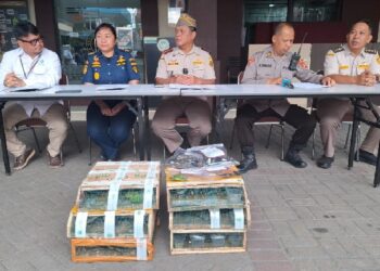 Karantina Hewan Pontianak Bongkar Penyelundupan Ratusan Burung