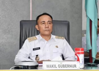 Wakil Gubernur Kalimantan Barat, Krisantus Kurniawan