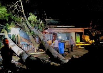 Sebuah pohon berukuran besar tumbang dan menimpa bangunan warung kopi milik warga, Sabtu (12/7/2025) sore.
