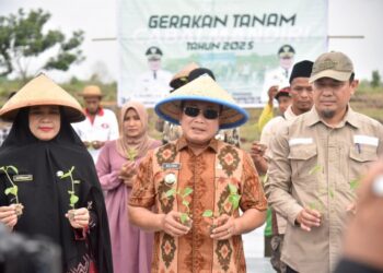 Bupati Kubu Raya, Sujiwo ikuti Gerakan Tanam Cabai yang digelar di lahan Kelompok Tani (Poktan) Karangkates, Desa Sungai Raya Dalam, Kecamatan Sungai Raya, Jumat (18/7/2025).