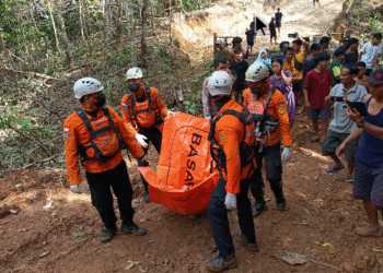 Michael Dilan, Bocah laki-laki berusia 4 tahun, warga Dusun Batu Balu, Desa Manga Masu, Kecamatan Kayan Hulu, Kabupaten Sintang, ditemukan dalam kondisi meninggal dunia di hutan tak jauh dari lokasi terakhir ia terlihat bermain bola.