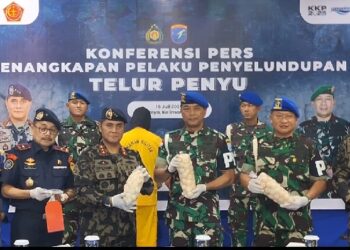 Oknum TNI Terlibat Penyelundupan Telur Penyu Jaringan Internasional, Ditangkap di Singkawang Bersama Rekan Wanitanya