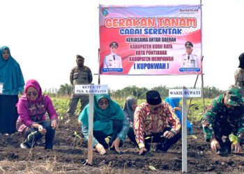 Gerakan Tanam Cabai Serentak KUPONWAH yang digelar secara Virtual