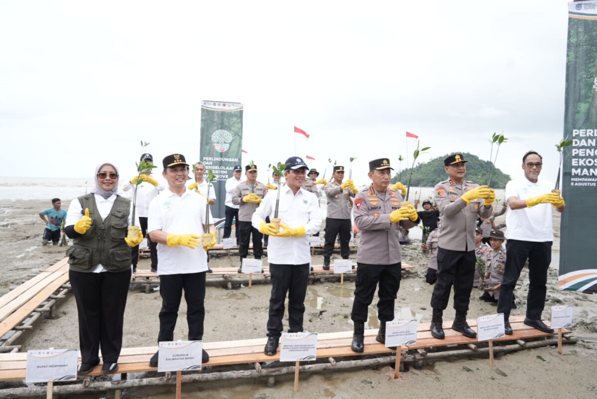 Gubernur Kalimantan Barat, Ria Norsan, dan Bupati Mempawah, Erlina, mendampingi Kapolri Jenderal Listyo Sigit Prabowo serta Menteri Lingkungan Hidup, Hanif Faisol Nurofiq dan Kapolda Kalbar, Irjen Pol. Pipit Rismanto dalam kegiatan penanaman mangrove di Mempawah Mangrove Park, Kabupaten Mempawah, Kalimantan Barat, Jumat (8/8/2025).
