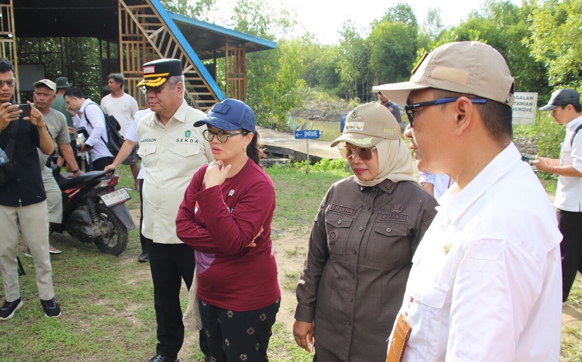 Bupati Mempawah saat mendampingi Wakil Menteri Diktisaintek, Stella Christie ke Magrove Park Mempawah . (Foto, Prokopim)