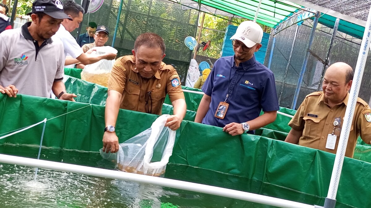 Kadis Perikanan Kubu Raya, Hefmi Rizal didampingi Asisten Manager Keuangan, Perizinan, Pertanahan dan Umum PT PLN (Persero) UIP Kalbagbar, Tigor Youlandert saat melepaskan bibit ikan nila pada kegiatan Program Tanggung Jawab Sosial dan Lingkungan (TJSL) PT PLN (Persero) UIP Kalbagbar untuk budidaya ikan air tawar dan jamur tiram (Electrifying Aquaculture) di Desa Sungai Ambawang Kuala, Kabupaten Kubu Raya, Selasa (24/09/2025). Foto : Deny Wahyu Hendrata.