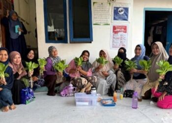 Terobosan Pertanian Hidroponik Inklusif: Mewujudkan Kemandirian Ekonomi Komunitas Disabilitas di Pontianak