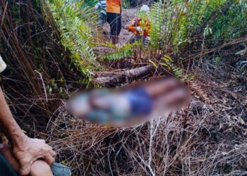 Hilang Dua Hari, Kakek 91 Tahun Ditemukan Tak Bernyawa di Kebun Warga