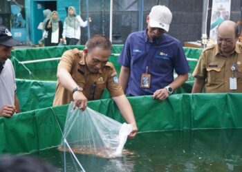 PLN Dorong Ketahanan Pangan dan Ekonomi Lokal lewat Program Electrifying Aquaculture di Kubu Raya