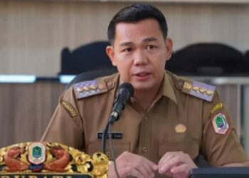 Bupati Kapuas Hulu Fransiskus Diaan. Dok