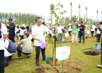 Gubernur Kalimantan Barat, Ria Norsan, saat mengikuti kegiatan penanaman pohon di Titik Nol IKN, Kalimantan Timur. Selasa pagi (11/11/2025).