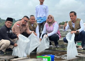 Momentum Hari Pahlawan, PLN Pulihkan Produksi Ikan Pesisir Loa Kulu Lewat Electrifying Marine