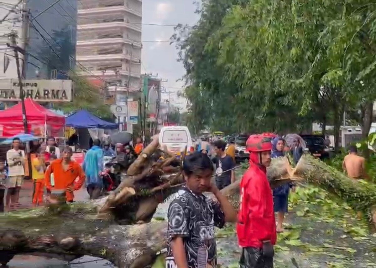 Petugas tengah mengevakuasi pohon tumbang beberapa waktu lalu.