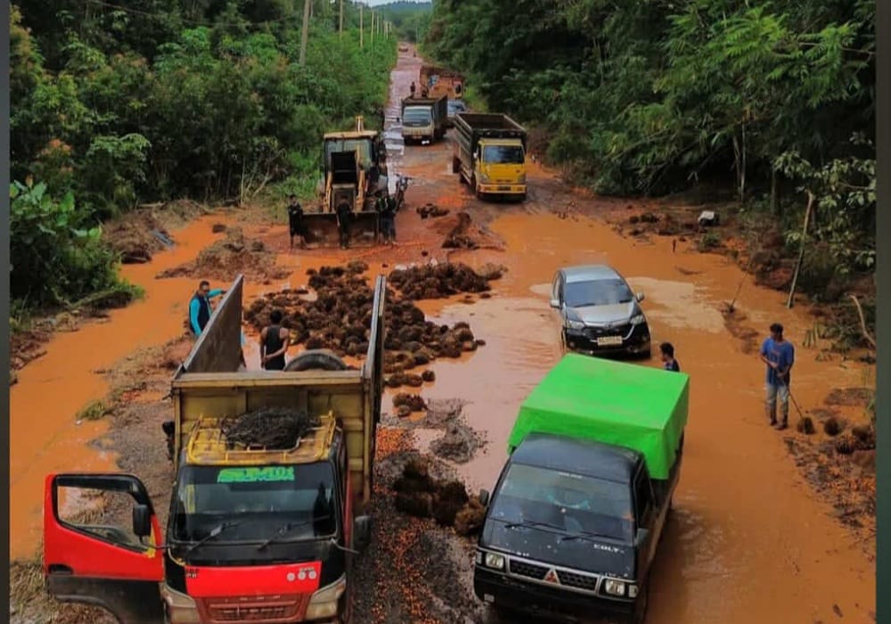 Kondisi ruas jalan milik Provinsi di Ketapang yang menjadikan dasar Bupati berkirim surat. Foto: Istimewa.