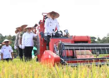 Mempawah Jadi Pusat Panen Raya Kalbar