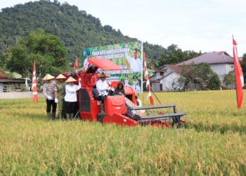 Wakil Gubernur Kalimantan Barat, Krisantus Kurniawan, bersama Bupati Mempawah, Erlina Norsan, menghadiri panen padi di Kecamatan Anjungan, Kelurahan Anjungan Melancar, Kabupaten Mempawah, Rabu (7/1/2026). Panen padi tersebut merupakan bagian dari panen serentak nasional yang juga dilaksanakan Presiden Republik Indonesia di Provinsi Jawa Barat.