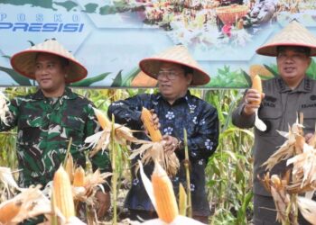 Wakil Bupati Kubu Raya Sukiryanto saat panen raya