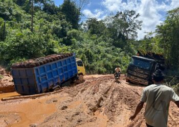 Salah satu ruas Jalan Provinsi di Ketapang yang rusak parah. Foto: Istimewa.
