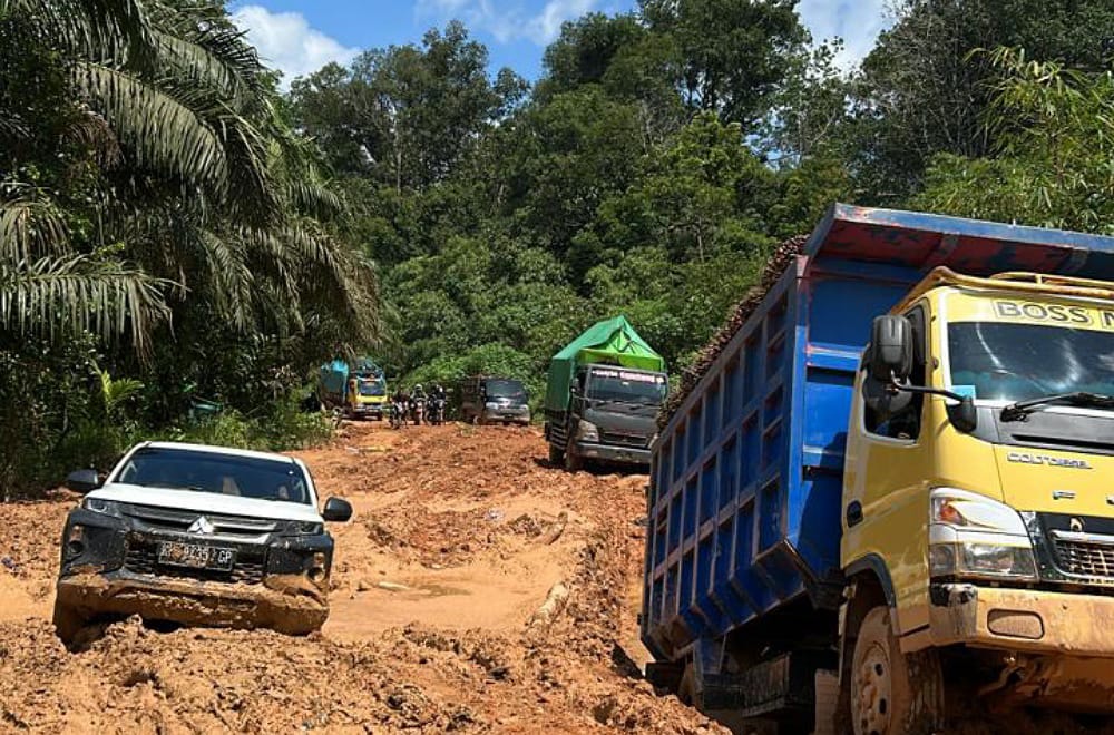 Kondisi ruas jalan Provinsi di Kabupaten Ketapang yang rusak berat. Foto: Istimewa.