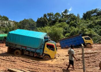 Ruas jalan milik Pemprov Kalbar di Kabupaten Ketapang yang mengalami kerusakan parah. Foto: Istimewa.