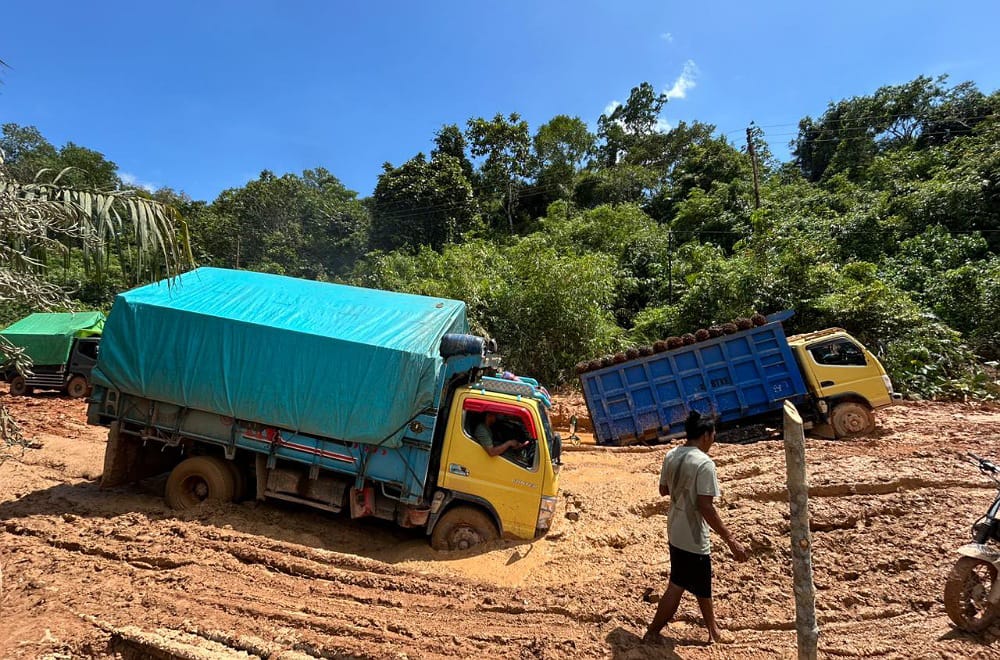 Ruas jalan milik Pemprov Kalbar di Kabupaten Ketapang yang mengalami kerusakan parah. Foto: Istimewa.