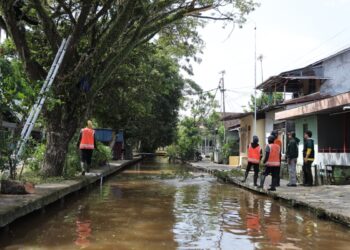 Petugas PUPR tengah memangkas pohon.