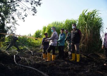 Wali Kota Pontianak Edi Rusdi Kamtono meninjau lahan yang terbakar di Pontianak Utara.