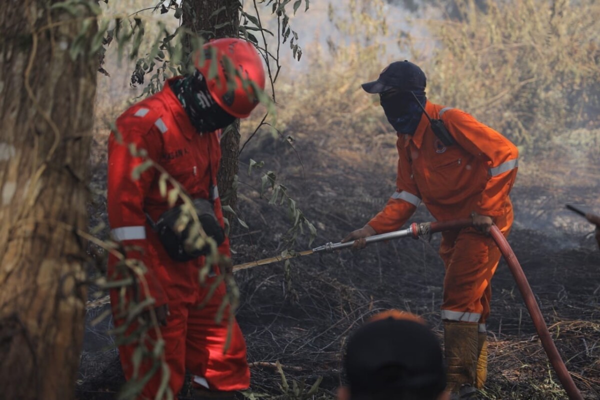 Petugas BPDB Kota Pontianak dan relawan berjibaku memadamkan api di lokasi lahan yang terbakar.