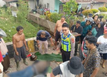 Tragedi KM 19 Trans Kalimantan! Hilang Kendali di Tikungan, Pemotor Tewas Hantam Truk