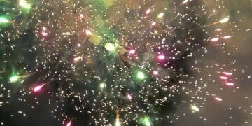 Pesta kembang api dalam rangka menyambut Tahun Baru Imlek 2577 dengan lokasi perayaan dipusatkan di kawasan Jalan Gajah Mada.