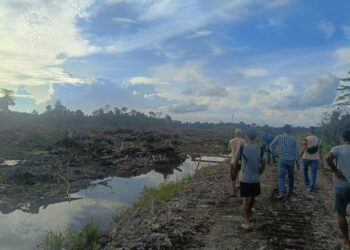 Program Cetak Sawah Rakyat di Desa Sukamaju Kecamatan Putussibau Selatan yang menghabiskan anggaran Rp6,6 miliar. Doc