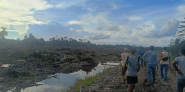 Program Cetak Sawah Rakyat di Desa Sukamaju Kecamatan Putussibau Selatan yang menghabiskan anggaran Rp6,6 miliar. Doc