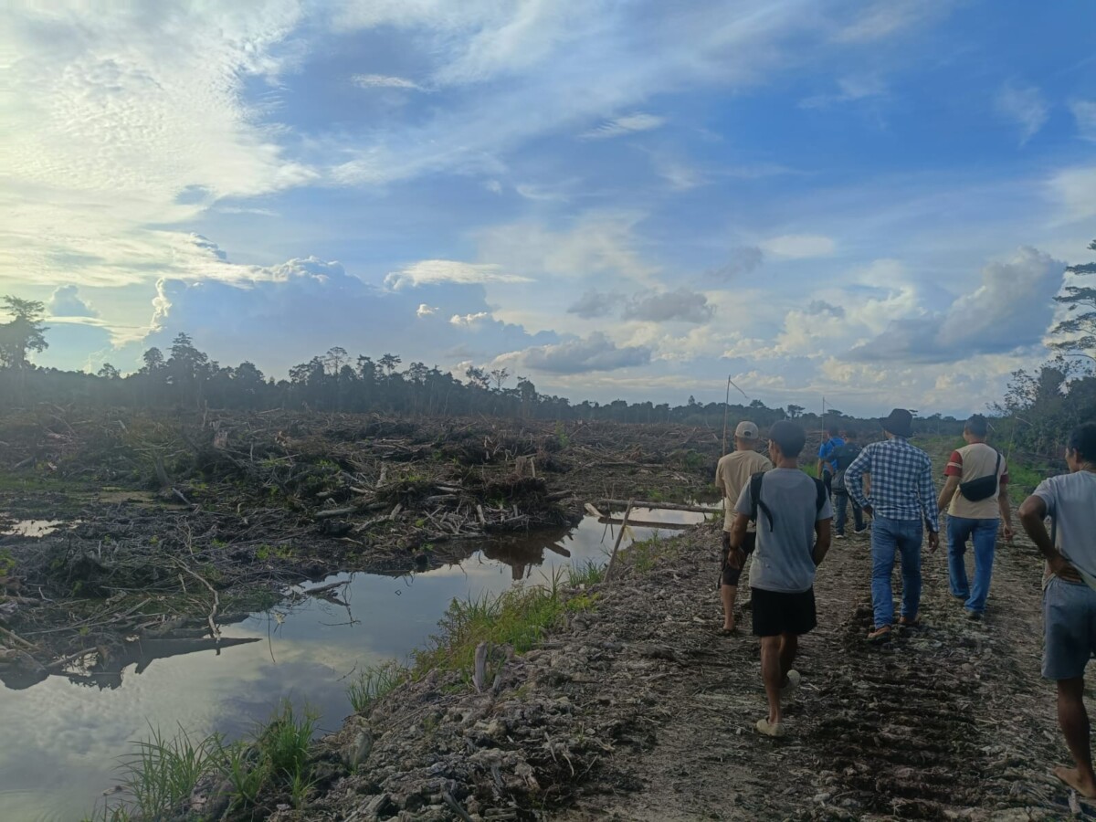 Program Cetak Sawah Rakyat di Desa Sukamaju Kecamatan Putussibau Selatan yang menghabiskan anggaran Rp6,6 miliar. Doc