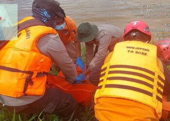 Tim SAR gabungan berhasil menemukan Harda Darwansyah (14), yang dilaporkan tenggelam sehari sebelumnya, di wilayah Desa Tanjung, Kecamatan Nanga Pinoh, Kabupaten Melawi, Jumat (13/3/2026).