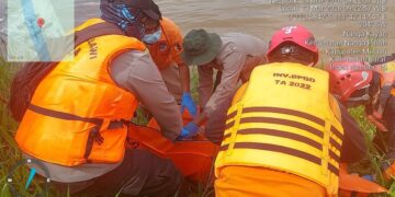 Tim SAR gabungan berhasil menemukan Harda Darwansyah (14), yang dilaporkan tenggelam sehari sebelumnya, di wilayah Desa Tanjung, Kecamatan Nanga Pinoh, Kabupaten Melawi, Jumat (13/3/2026).