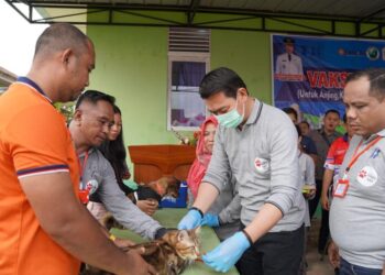 Penyuntikan vaksin anti rabies kepada HPR yang dilakukan oleh Bupati Kapuas Hulu. Dok
