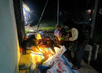 Petugas Dinas Pertanian dan Pangan Kabupaten Kapuas Hulu saat melakukan pemeriksaan terhadap hewan yang dipotong di tempat pemotongan hewan sebelum dijual ke masyarakat. Ist