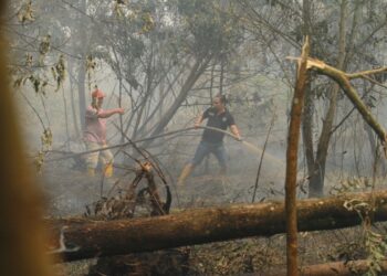 Kebakaran lahan yang terjadi tahun lalu