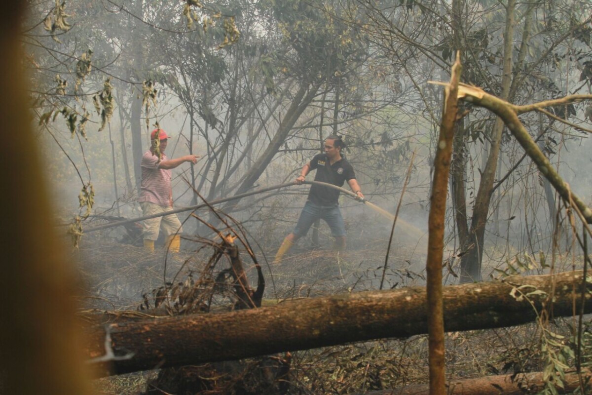 Kebakaran lahan yang terjadi tahun lalu