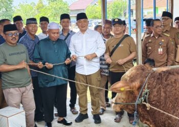 Bupati Ketapang, Alexander Wilyo, menyerahkan hewan kurban kepada sejumlah pengurus rumah ibadah di Ketapang.