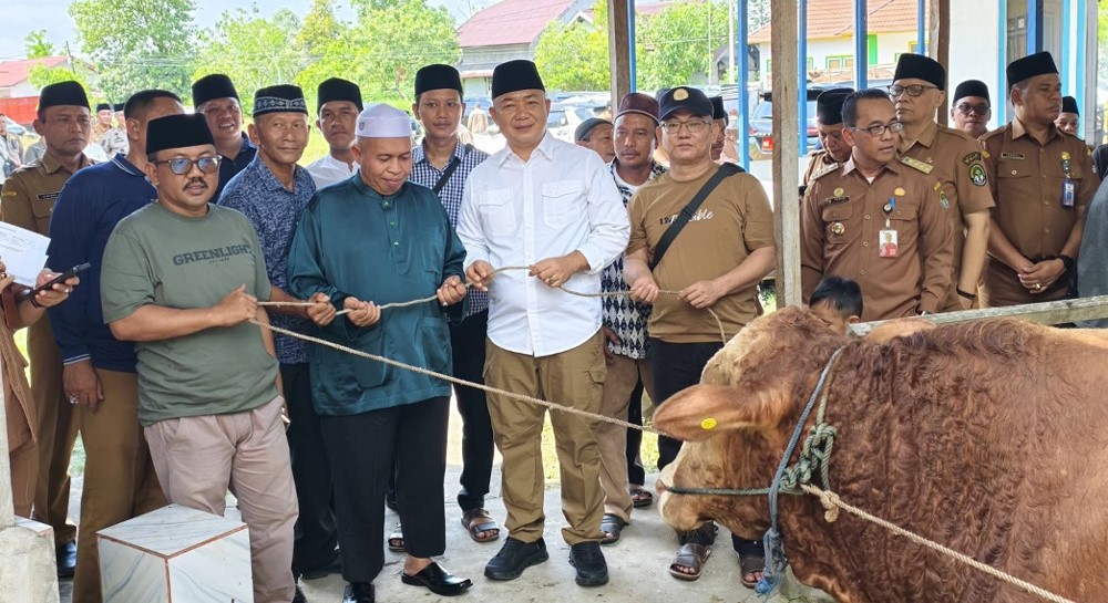 Bupati Ketapang, Alexander Wilyo, menyerahkan hewan kurban kepada sejumlah pengurus rumah ibadah di Ketapang.